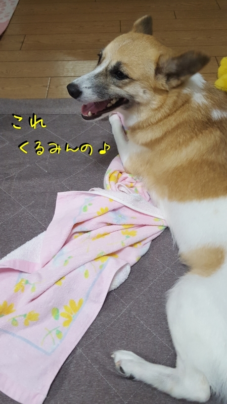 a0353444_00230698.jpg