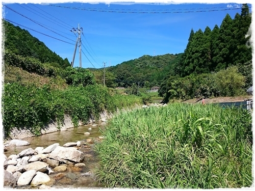 c0323244_07140463.jpg