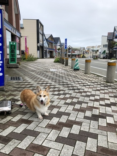 浦河町_f0045846_15114072.jpeg