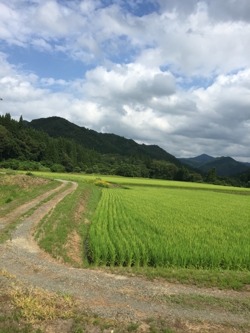 活動中_b0093660_13184086.jpeg
