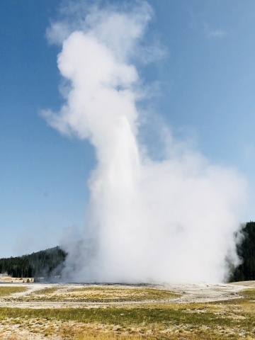 Yellowstone National Park_d0233672_09164623.jpeg