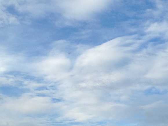 命の繋がり・限りない空へ***_e0290872_23055263.jpg