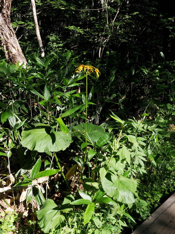 f0372177_22093303.jpg