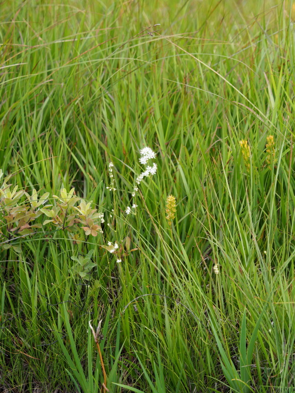 f0372177_22094454.jpg