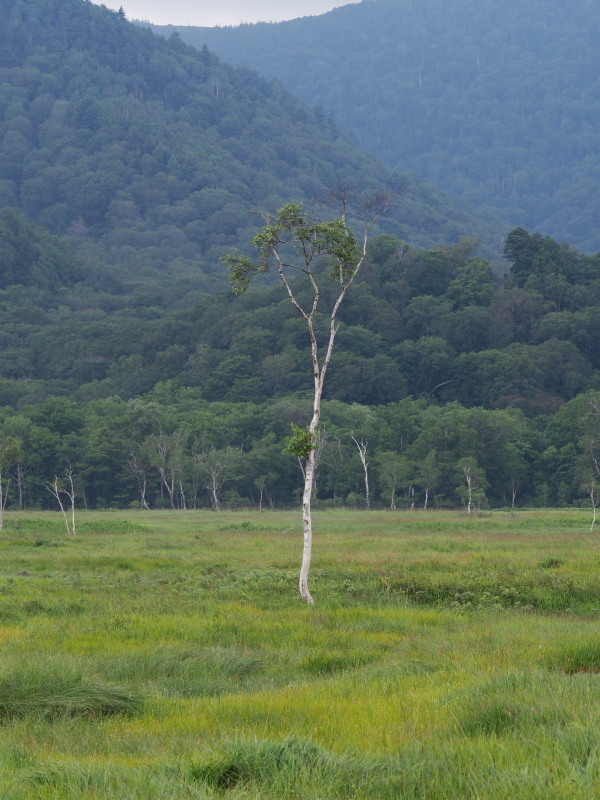 f0372177_22104035.jpg