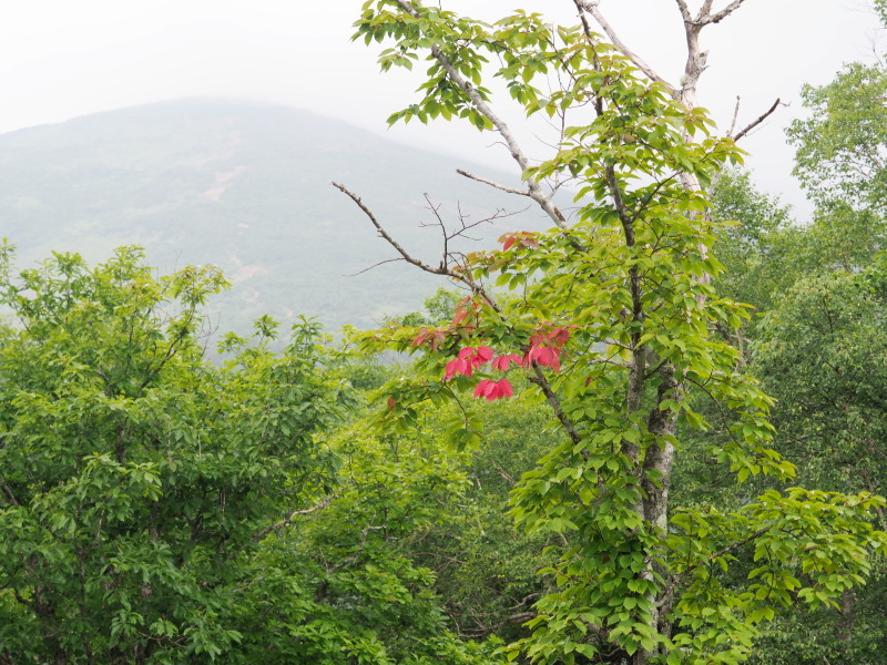 f0372177_22105346.jpg