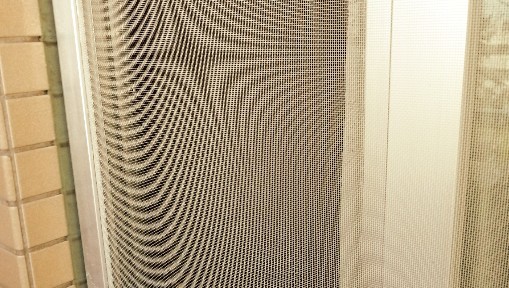 b0374179_20114608.jpg