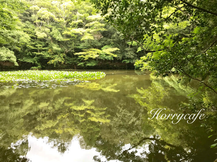 夏の伊勢神宮参拝記② ～内宮編_d0158279_17464048.jpg