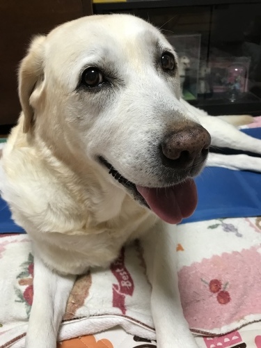f0315081_20193235.jpeg