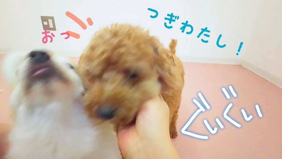 なでなで~が好きなのです💕_f0357682_11014622.jpg