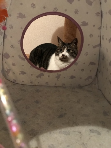 c0340786_23093227.jpeg