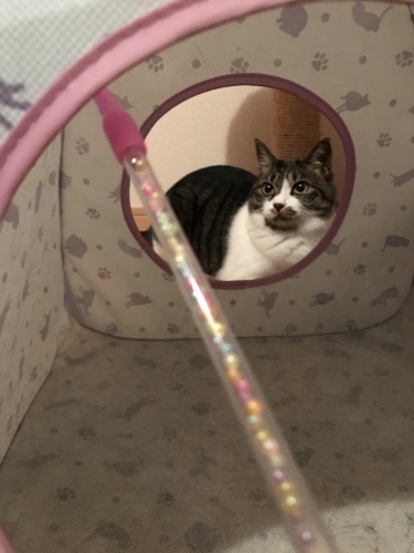c0340786_23101152.jpeg