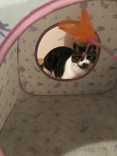 c0340786_23103273.jpeg