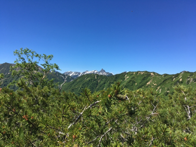 d0261589_14134551.jpg