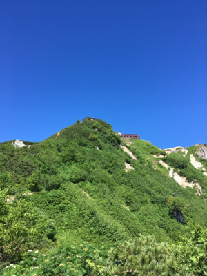 d0261589_14162589.jpg