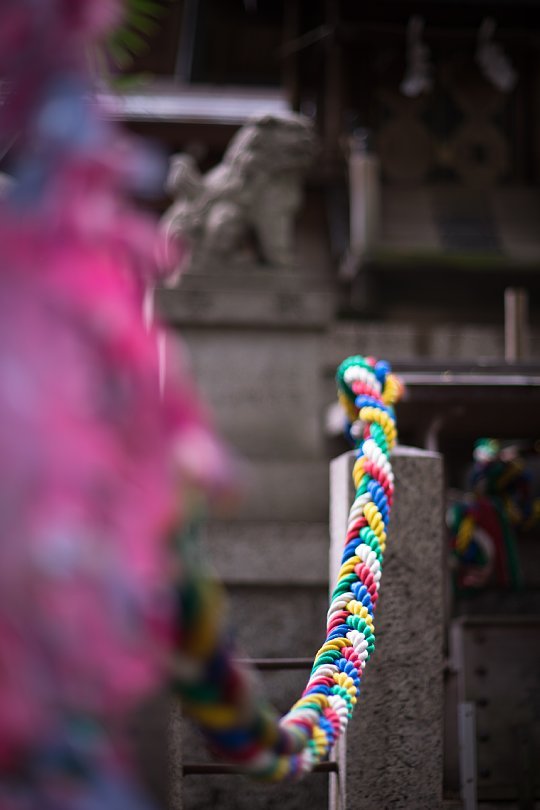 Summer Colors In A Shrine That Dates Back To 7th Century_d0353489_21073163.jpg