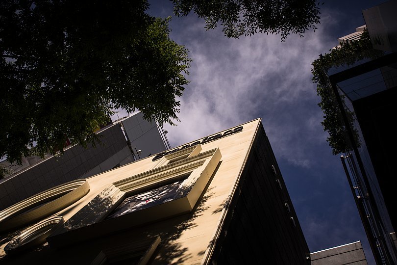 Shadows Carved By Afternoon Light And Boulevard Trees_d0353489_22353111.jpg
