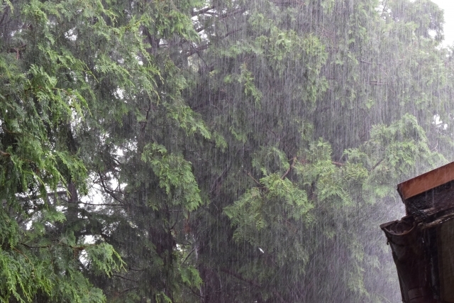 No.3993 8月15日(水):「ゲリラ豪雨」の対処法_b0113993_10255038.jpg