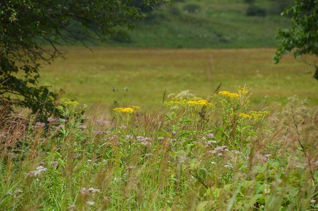c0124100_18144179.jpg