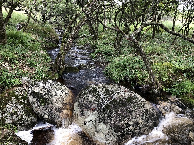 c0124100_18150966.jpg
