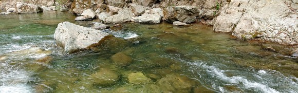 f0266202_07062188.jpg