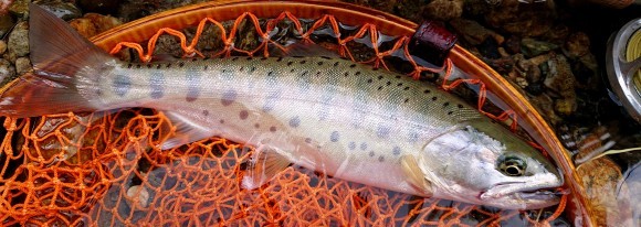 f0266202_07063739.jpg