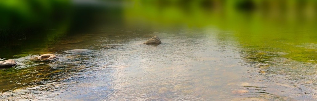 f0266202_07070503.jpg