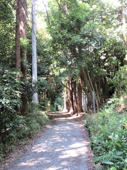 鎌倉往還 中の道 を舞岡から戸塚へ 18 08 14 フランス語と 鎌倉と 私と 鎌倉往還 中の道 を舞岡から戸塚へ 18 08 14 フランス語と 鎌倉と 私と