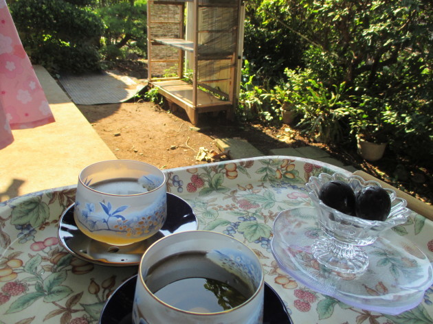 b0183111_09284750.jpg