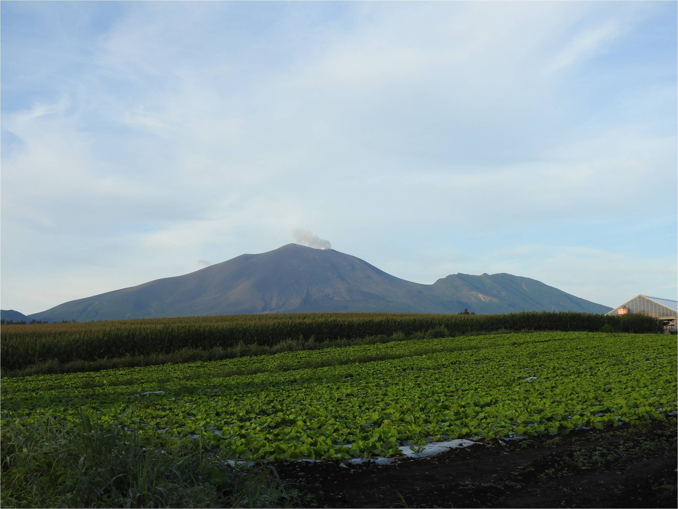 b0174425_14185271.jpg