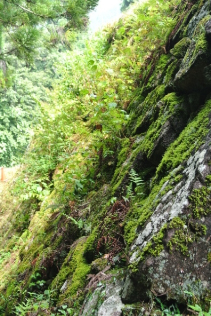 b0312230_13155137.jpg