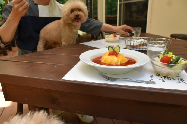 d0387831_11431936.jpeg