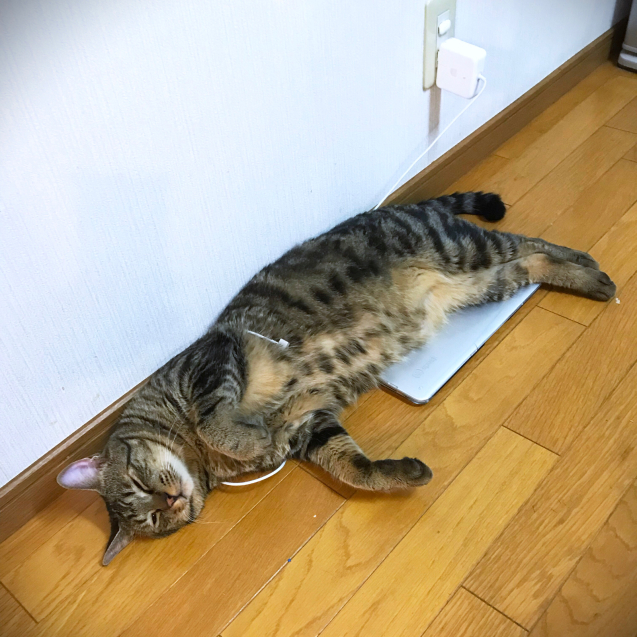 新しい味_d0355333_20225035.jpg