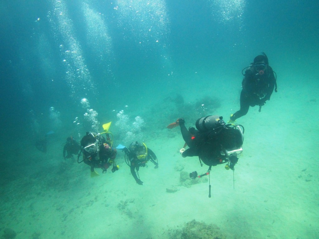 a0189838_11281172.jpg