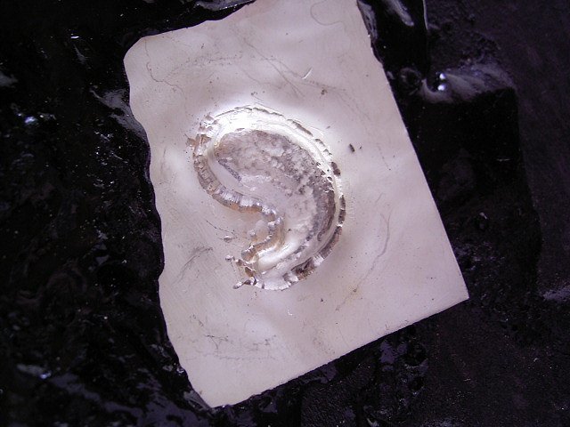b0364938_22051125.jpg