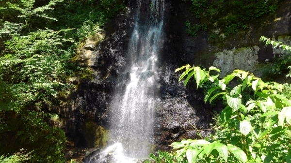 e0086244_13033896.jpg