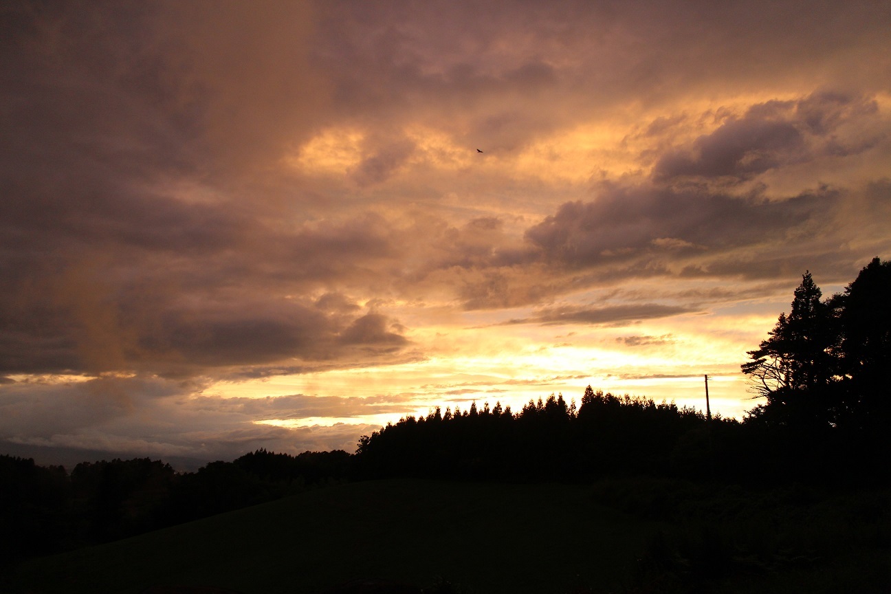 今日の空_d0155147_21435955.jpg