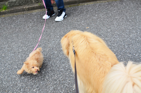 優しさの循環_f0044853_21050614.jpg