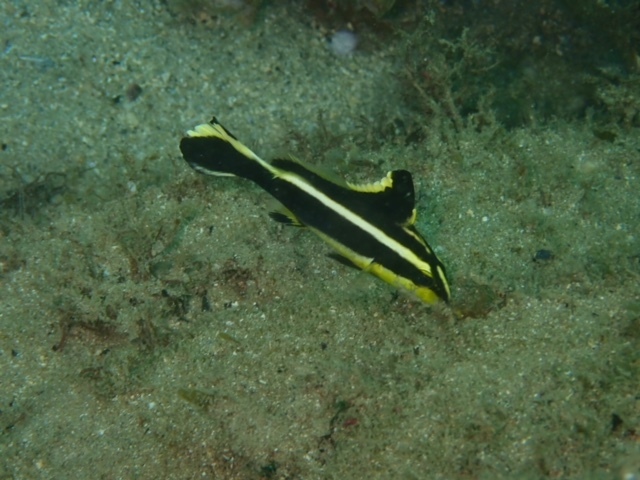 f0164662_18370244.jpg