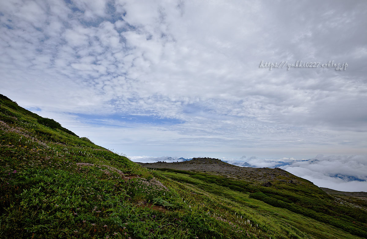 赤岳【 雲海と秋雲のあいだで遊んだ日 】_f0054366_10183979.jpg