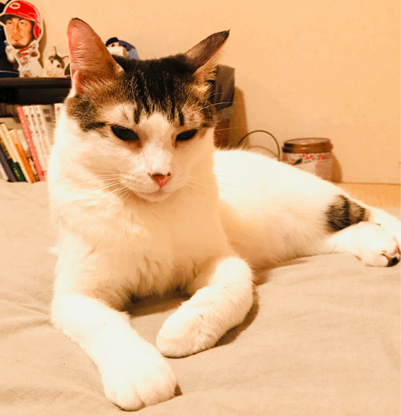 d0343573_19325427.gif