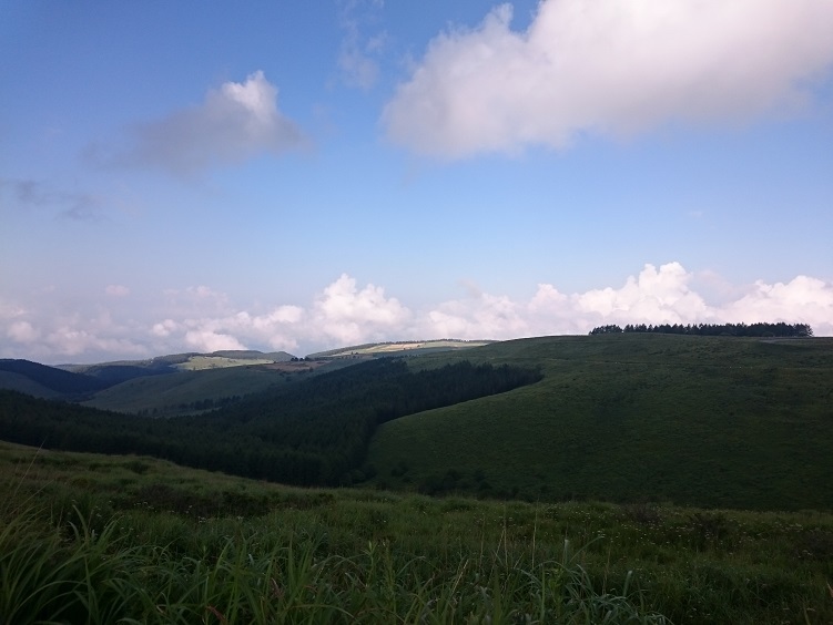 e0367274_06425776.jpg