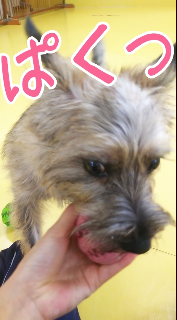 トレーニングブログ_f0357682_22154911.jpg