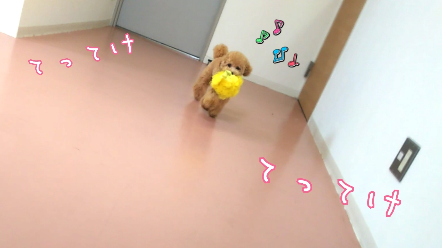 トレーニングブログ_f0357682_22201087.jpg