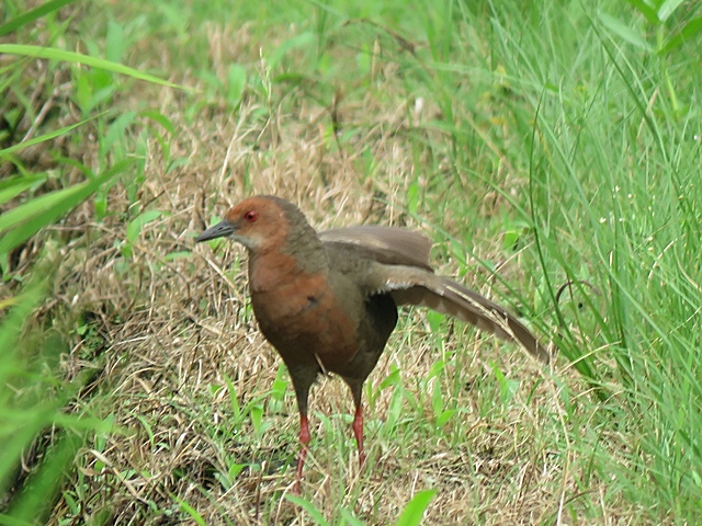 f0357487_23246.jpg