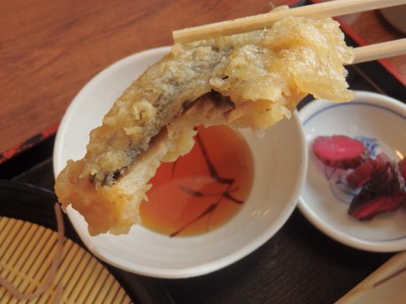 ザめしや 上甲子園店_c0118393_15133387.jpg