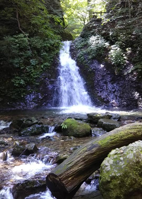 お知らせと、那須塩原の旅行_e0309795_21032090.jpg