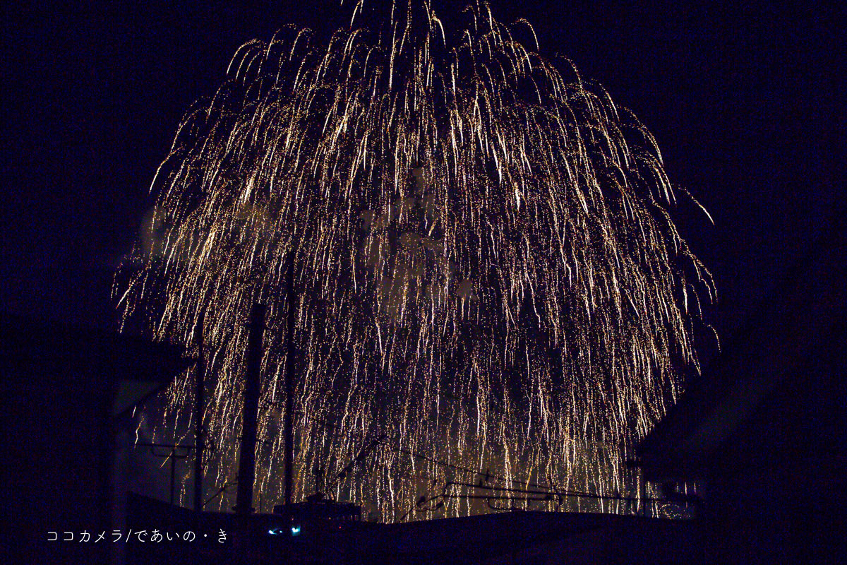 写真日記・六郷の花火大会_c0336400_20323765.jpg