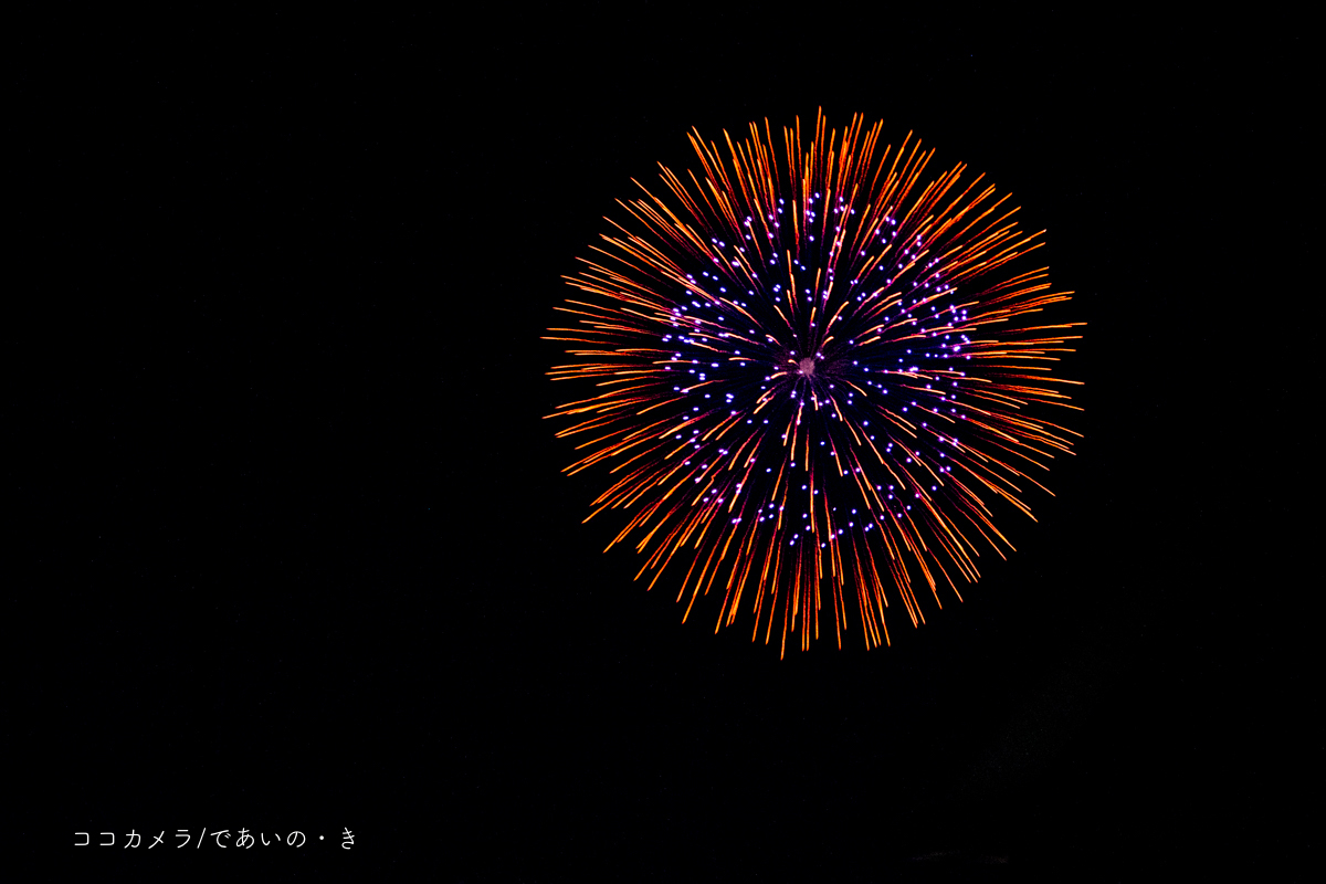 写真日記・六郷の花火大会_c0336400_20355276.jpg