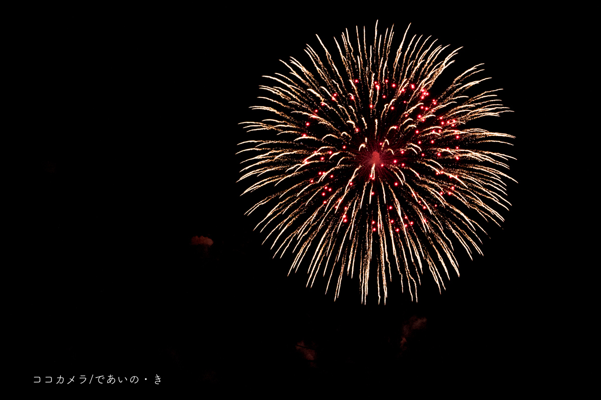 写真日記・六郷の花火大会_c0336400_20382970.jpg